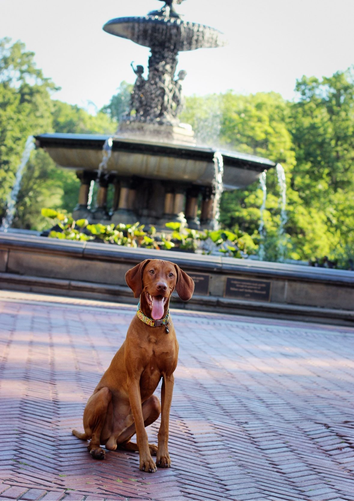 Tucker sitting and smiling in front of the Bethesda Fountain in Central Park